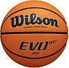 Мяч баскетбольный Wilson Evo Nxt АРТ.Wtb0901xb