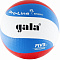 Мяч волейбольный GALA Pro-Line 10 FIVB BV5591S р. 5 белый-голубой-красный